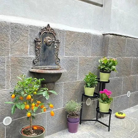 Apartment Michy M'house Naples